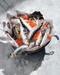 fresh sardines on ice wow pictures kirsty owen food photography