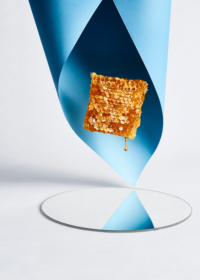 dripping honeycomb conceptual still life shot by camilo mateus